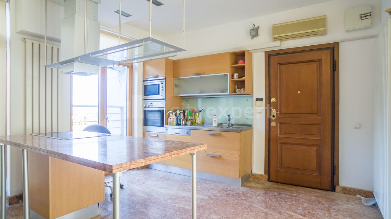 Dalmatinska, Botanička bašta, Palilula - 10