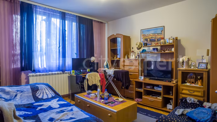 Bulevar despota Stefana, Botanička bašta, Stari grad - 8