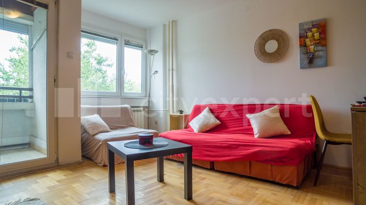 Jednosoban stan u Jurija Gagarina (Novi Beograd)