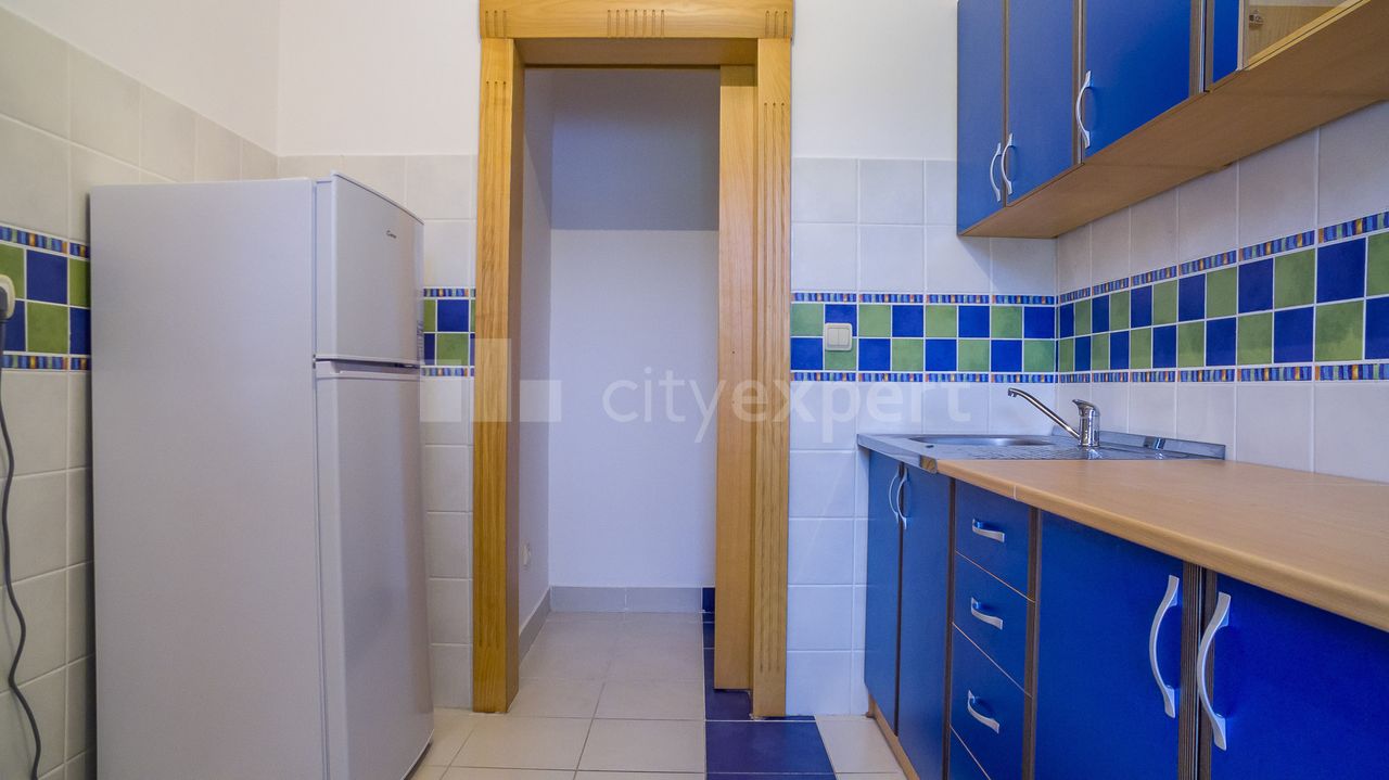 Anice Savić Rebac, Višnjička banja, Palilula - 7