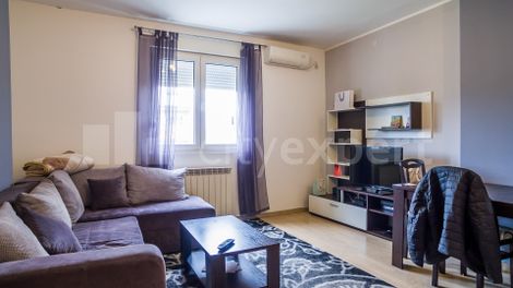 Apartment Vračar Rent Belgrade - ID: 56665