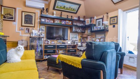 Prodaja, Stan, Miše Dimitrijevića, Novi Sad, Novi Sad - ID: 60832
