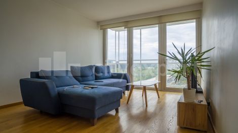 Stan Novi Beograd Prodaja Beograd - ID: 74852