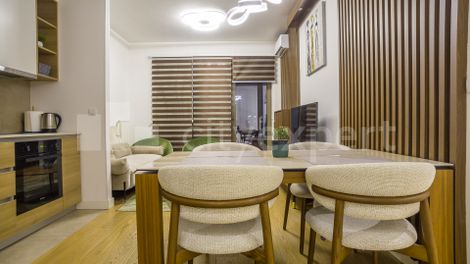 Stan Savski venac Izdavanje Beograd - ID: 75554