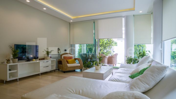 Izdavanje, Stan, Tone Hadžića, Opština Novi Sad, Novi Sad - ID: 66832